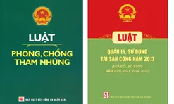 Pháp luật về phòng, chống tham nhũng và lãng phí trong quá trình sắp xếp, xử lý tài sản công: Thực tiễn và yêu cầu mới