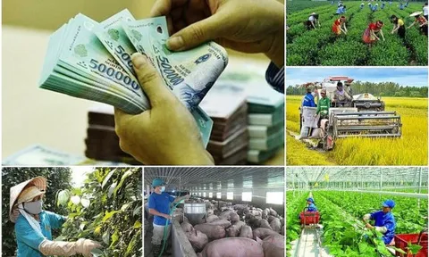 12 tỉnh, thành phố đạt tỷ lệ giải ngân vốn các chương trình mục tiêu quốc gia trên 50%
