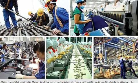 Xây dựng chương trình tín dụng mới với lãi suất ưu đãi giúp người dân khôi phục sản xuất sau bão
