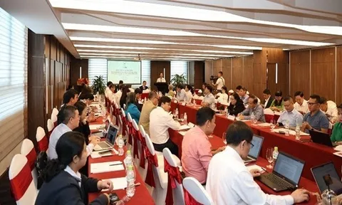 Từ “tham gia” đến “chủ động kiến tạo”: Nâng cao vai trò của Hội Luật gia Việt Nam trong xây dựng và thi hành pháp luật theo Nghị quyết số 66-NQ/TW