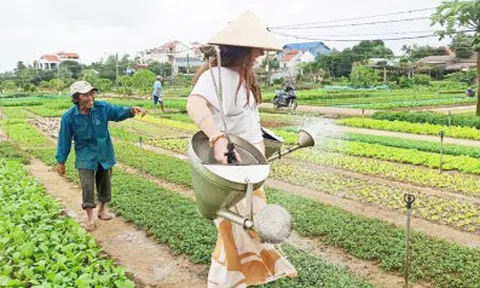 Phát triển du lịch xanh trong lòng đô thị: Con đường tất yếu