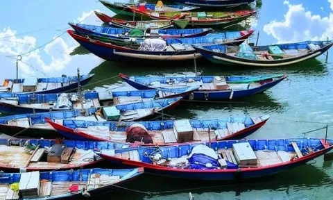 Biển giả. Tản văn của Nguyễn Hiệp