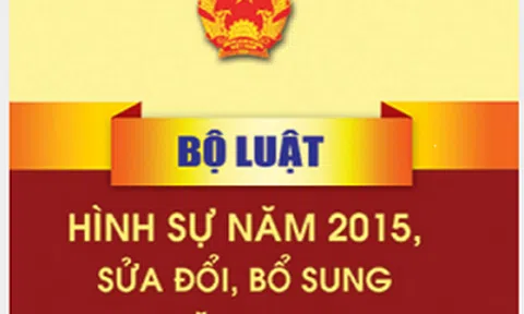 Những đề xuất sửa đổi, bổ sung mới liên quan hình phạt và tội danh hình sự
