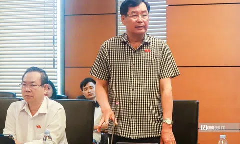 Sửa Hiến pháp: Đề nghị làm rõ mối quan hệ giữa Mặt trận Tổ quốc với các tổ chức chính trị - xã hội