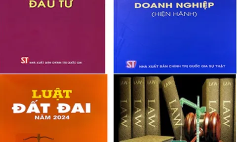 Đưa Nghị quyết 66-NQ/TW vào cuộc sống: Nâng cao năng lực phổ biến pháp luật và hỗ trợ pháp lý của Hội Luật gia Việt Nam đối với cộng đồng doanh nghiệp