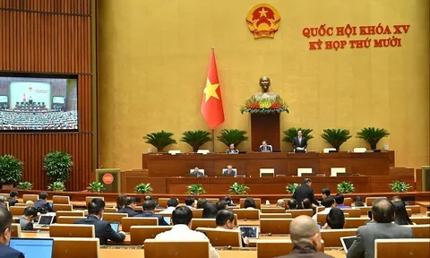 Đại biểu Quốc hội Trần Công Phàn: Quy trình ban hành các đạo luật trong giai đoạn tới cần được điều chỉnh theo hướng mở, linh hoạt và tương tác nhiều chiều