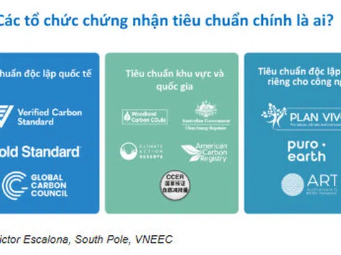 Cách nào để được cấp tín chỉ carbon?