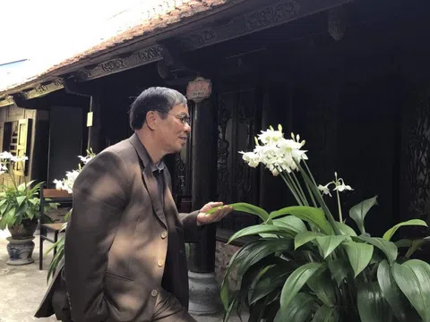 Mùa Xuân Hái Nụ Tầm Xuân