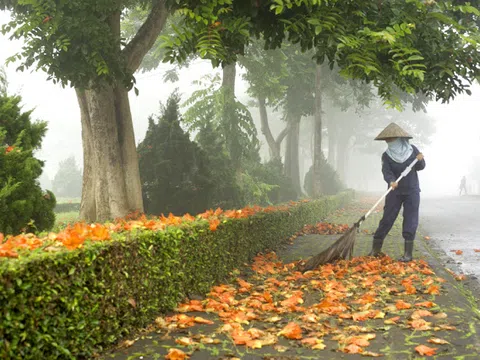 TIẾNG CHỔI TRE