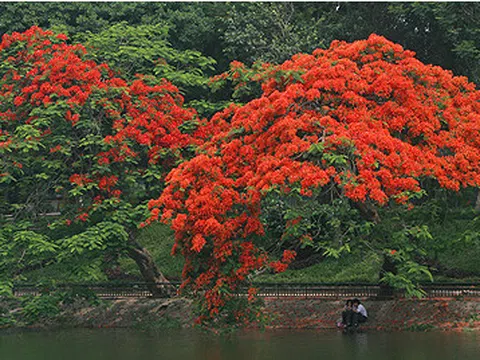 NỖI NHỚ GỌI TÊN