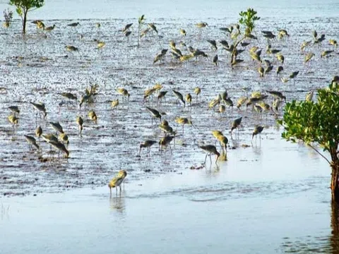 EM CÓ VỀ NAM ĐỊNH KHÔNG