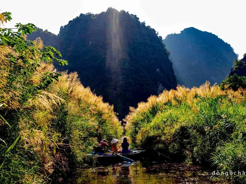 ĐÔNG VỀ