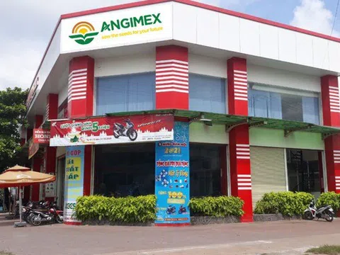 Mất nguồn thu lớn, Angimex tiếp tục lỗ nặng