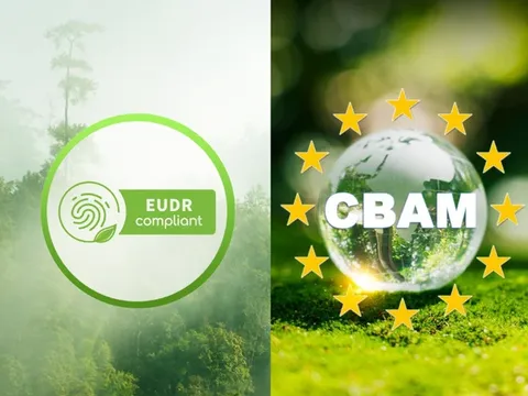 Thách thức pháp lý và giải pháp thích ứng của Việt Nam trước các quy định thương mại bền vững của EU: Phân tích dưới góc độ luật WTO và pháp luật quốc gia