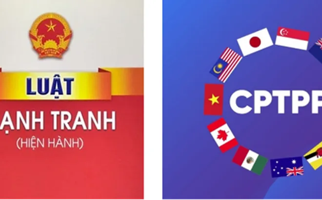 Tính tương thích của pháp luật cạnh tranh Việt Nam trong bối cảnh thực thi các Hiệp định Thương mại tự do thế hệ mới CPTPP và EVFTA: Phân tích từ góc độ thể chế và thực thi
